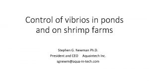 Control of vibrios in ponds and on shrimp