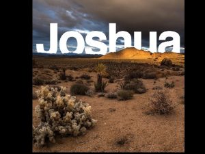 Joshua 1 8