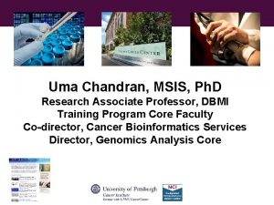 Uma Chandran MSIS Ph D Research Associate Professor