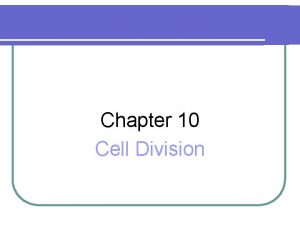Chapter 10 Cell Division Prokaryotic Division Chromosomes colored