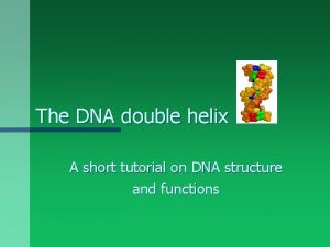 The DNA double helix A short tutorial on