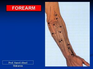 FOREARM Prof Saeed Abuel Makarem Objectives By the