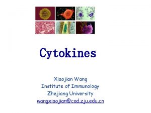 Cytokines Xiaojian Wang Institute of Immunology Zhejiang University