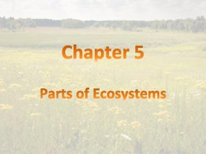 1 ecosystem All of the living and nonliving