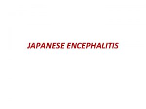 Japanese encephalitis virus
