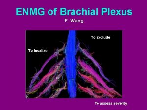 ENMG of Brachial Plexus F Wang To exclude