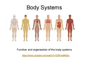 Body Systems Function and organization of the body