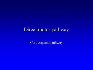 Direct motor pathways Direct motor pathways