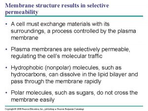 Membrane structure results in selective permeability
