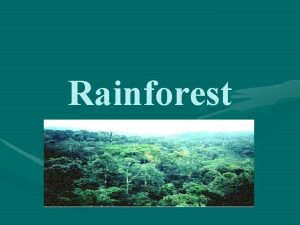 Rainforest Rainforest Facts Rainforests only cover 2 of