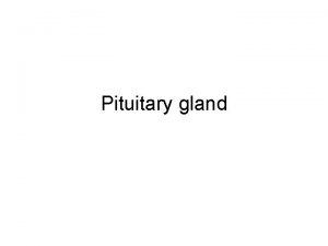 Pituitary gland Pituitary gland Embryonic origin Anterior pituitary