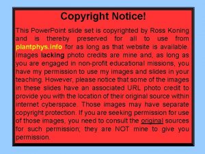 Copyright Notice This Power Point slide set is