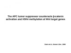 The APC tumor suppressor counteracts bcatenin activation and