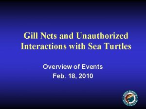 Gill Nets and Unauthorized Interactions with Sea Turtles