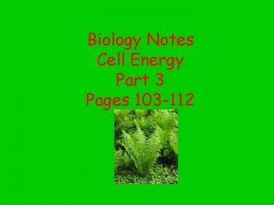 Biology Notes Cell Energy Part 3 Pages 103