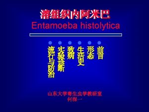 Amoebiasis stool color in toddlers