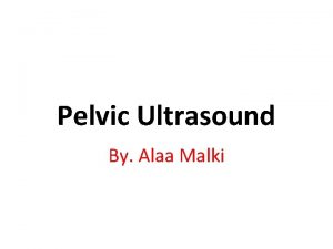 Pelvic Ultrasound By Alaa Malki Pelvic Area UTERES