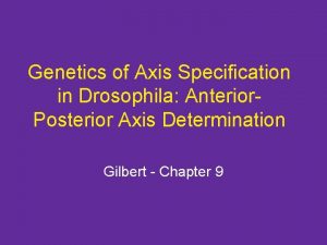 Anterior-posterior axis specification in drosophila