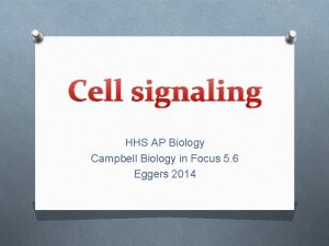 Cell signaling HHS AP Biology Campbell Biology in