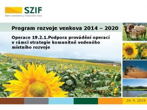 Program rozvoje venkova 2014 2020 Operace 19 2