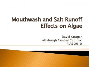 Mouthwash and Salt Runoff Effects on Algae David
