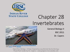 Chapter 28 Invertebrates Insert photo here representing chapter