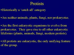 Eukaryotes catch all category