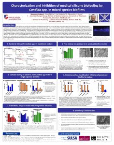 Characterization and inhibition of medical silicone biofouling by