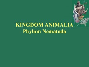 KINGDOM ANIMALIA Phylum Nematoda Phylum Nematoda Bilaterally symmetrical