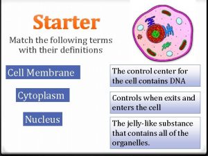 Match the following terms to their definitions