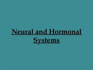 Neural and Hormonal Systems Neuroscience and Behavior Neural