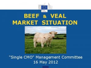 BEEF VEAL MARKET SITUATION Single CMO Management Committee