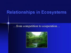 Cooperation relationship ecosystem