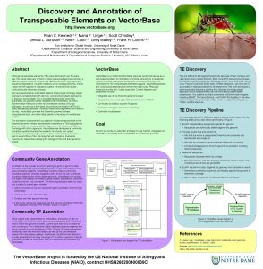 Discovery and Annotation of Transposable Elements on Vector