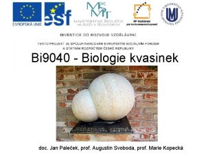 Bi 9040 Biologie kvasinek doc Jan Paleek prof