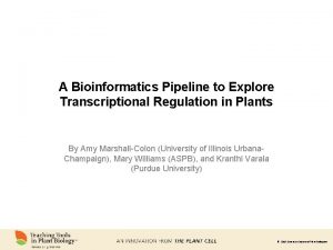 A Bioinformatics Pipeline to Explore Transcriptional Regulation in