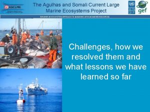 The Agulhas and Somali Current Large Marine Ecosystems