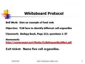 Whiteboard Protocol Bell Work Give an example of