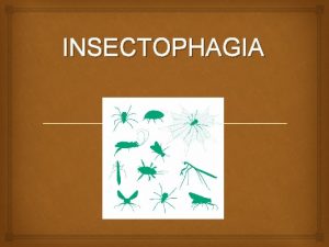 INSECTOPHAGIA Synopsis and presentation of the game You