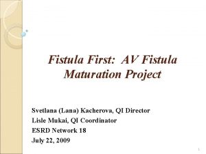 Fistula First AV Fistula Maturation Project Svetlana Lana