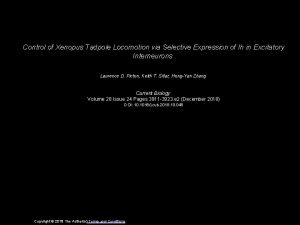 Control of Xenopus Tadpole Locomotion via Selective Expression
