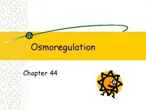 Osmoregulation Chapter 44 Osmoregulation Balance of water solute