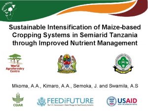 Sustainable Intensification of Maizebased Cropping Systems in Semiarid