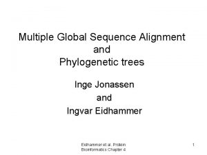 Multiple Global Sequence Alignment and Phylogenetic trees Inge