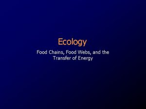 Ecology Food Chains Food Webs and the Transfer
