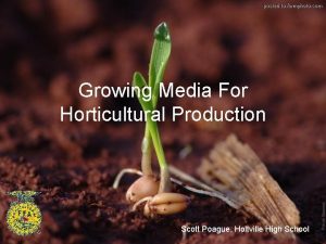 Growing Media For Horticultural Production Scott Poague Holtville