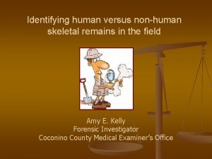 Identifying human versus nonhuman skeletal remains in the