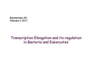 Biochemistry 201 February 2 2017 Transcription Elongation and