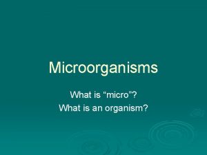 Microorganisms What is micro What is an organism