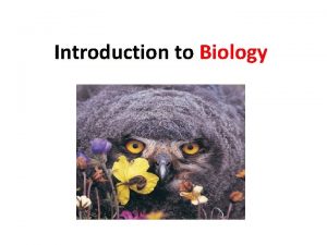 Introduction to Biology Biology The Study of Life